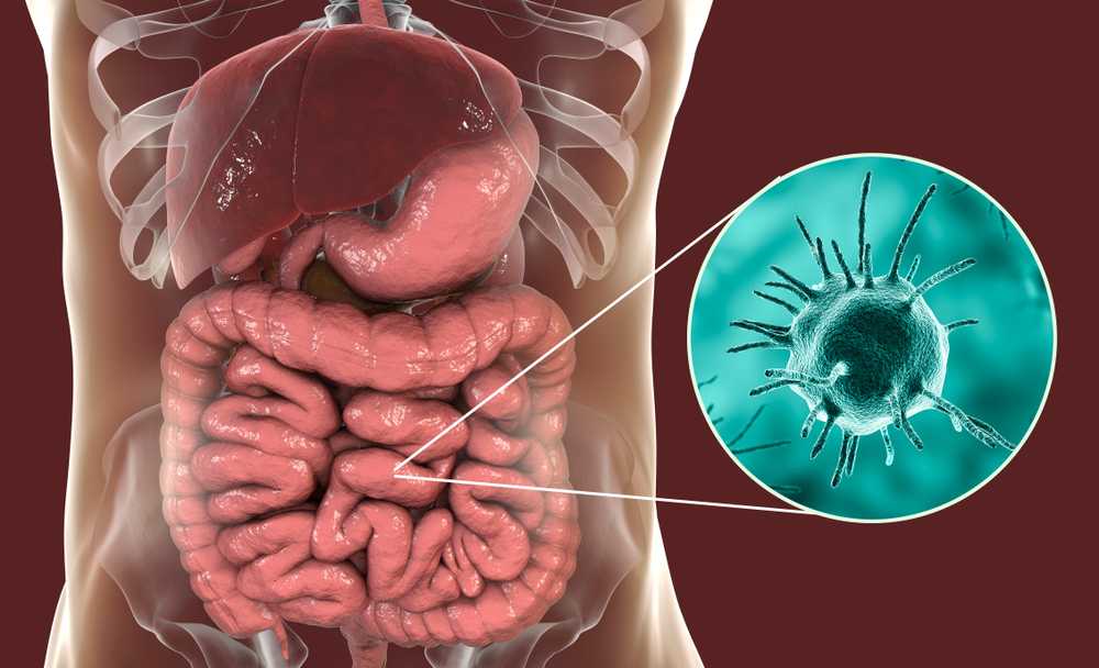 amoebiasis-amoebic-dysentery-causes-symptoms-and-treatment