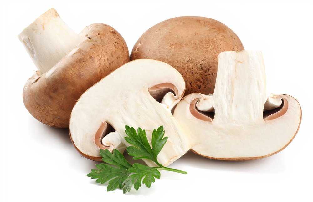 from healthella