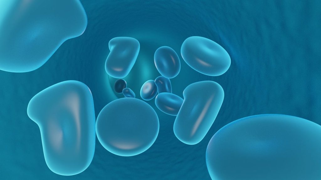 High White Blood Cell Counts Causes Implications And Treatment Page 3 Of 7 A2Z Healthy